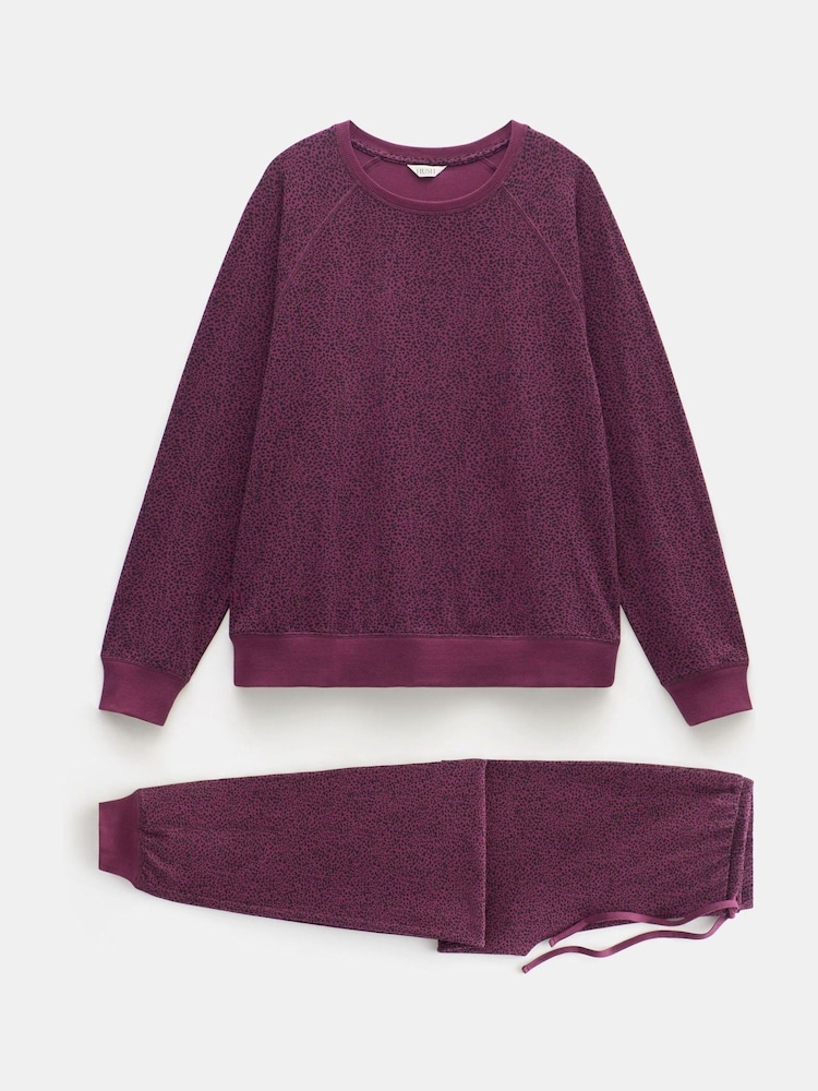 Hush Animal Joelle Jersey Jogger Print Pyjamas - Image 4 of 4