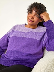 Roman Purple Curve Ombre Stripe Knit Jumper - Image 1 of 5