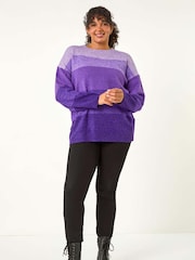 Roman Purple Curve Ombre Stripe Knit Jumper - Image 2 of 5
