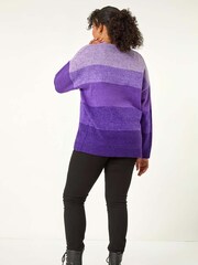 Roman Purple Curve Ombre Stripe Knit Jumper - Image 3 of 5