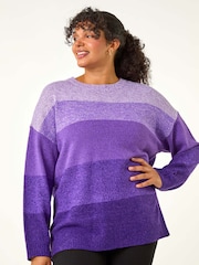 Roman Purple Curve Ombre Stripe Knit Jumper - Image 4 of 5