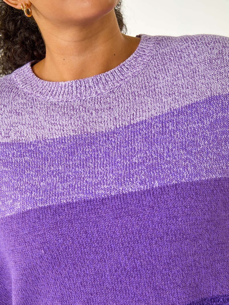 Roman Purple Curve Ombre Stripe Knit Jumper - Image 5 of 5
