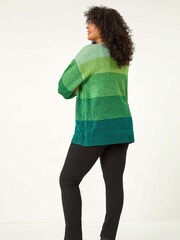 Roman Green Curve Ombre Stripe Knit Jumper - Image 3 of 5