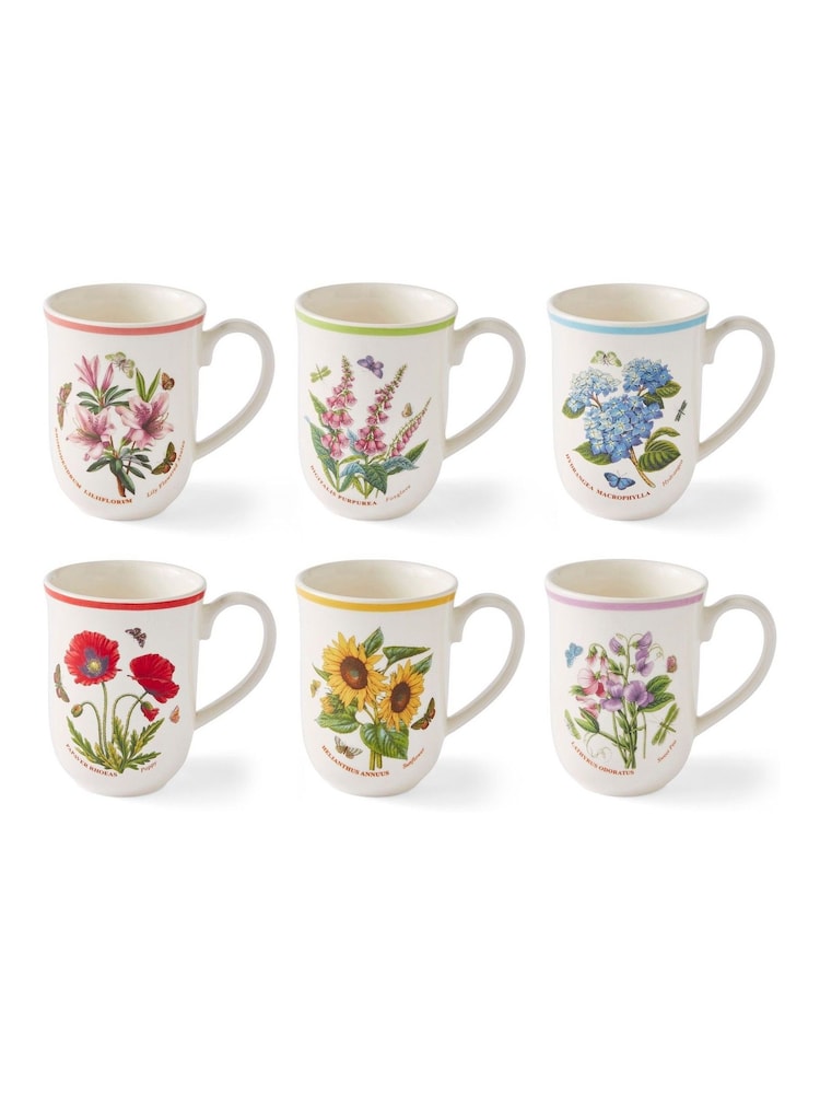 Portmeirion Multi Botanic Garden Meadow Set of 6 Tulip Mugs - Image 2 of 8