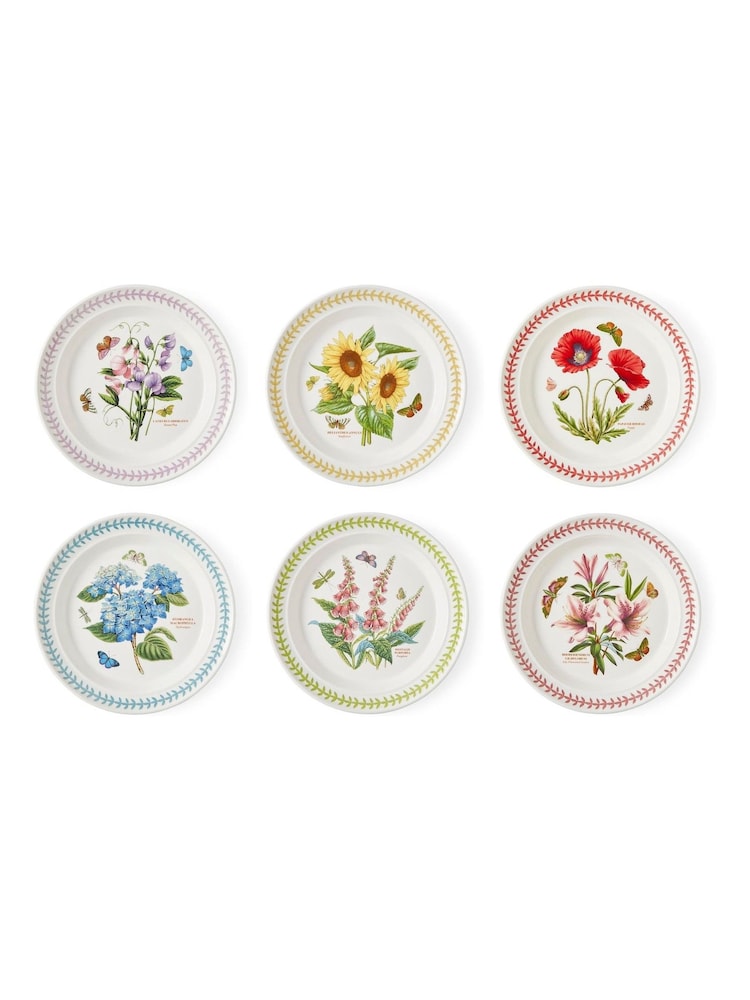 Portmeirion Multi Botanic Garden Meadow Set of 6 Dinner Plates - Image 2 of 10