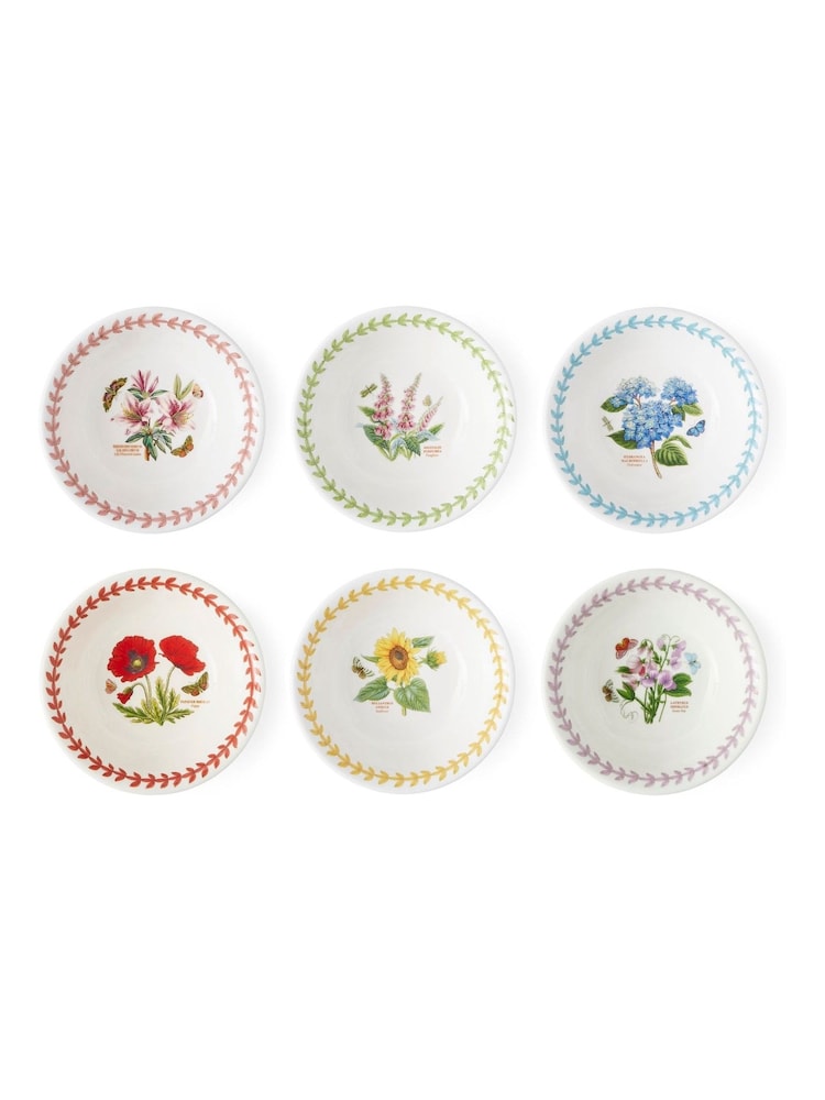 Portmeirion Multi Botanic Garden Meadow Set of 6 13cm Bowls - Image 1 of 7