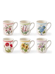 Portmeirion Multi Botanic Garden Meadow Set of 6 Breakfast Mugs - Image 2 of 8