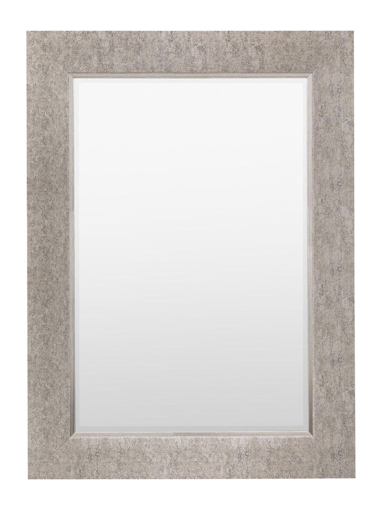 Gallery Home Silver Darwin Rectangle Mirror - Image 1 of 3