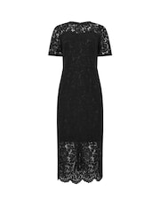 M&Co Lace Sweetheart Dress - Image 1 of 1