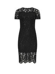 M&Co Black Petite Lace Sweetheart Dress - Image 5 of 5
