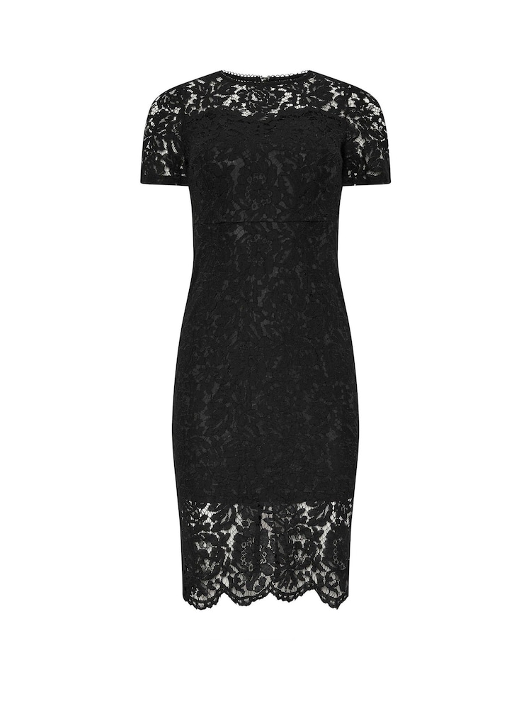 M&Co Black Petite Lace Sweetheart Dress - Image 5 of 5 M&Co Black Petite Lace Sweetheart Dress - Image 5 of 5