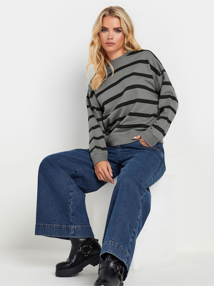 PixieGirl Petite Grey Stripe Crew Neck Sweatshirt - Image 1 of 5