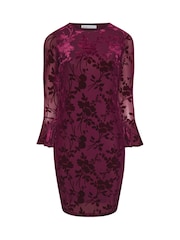 Yours Curve Red London Burn Out Velour Shift Dress - Image 6 of 6