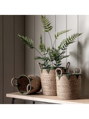 Gallery Home Set of 3 Natural and Green Jianna Baskets - Image 1 of 5