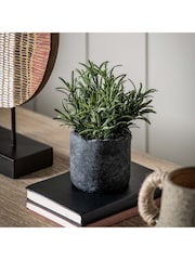 Gallery Home Green Potted Fern Plant - Image 1 of 10