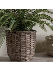 Gallery Home Green Potted Fern Plant - Image 10 of 10