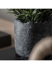 Gallery Home Green Potted Fern Plant - Image 2 of 10