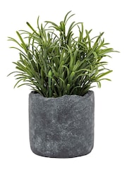 Gallery Home Green Potted Fern Plant - Image 3 of 10