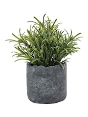 Gallery Home Green Potted Fern Plant - Image 4 of 10