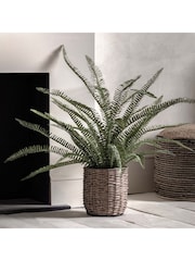 Gallery Home Green Potted Fern Plant - Image 5 of 10