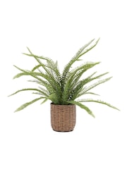 Gallery Home Green Potted Fern Plant - Image 6 of 10