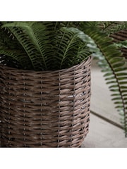 Gallery Home Green Potted Fern Plant - Image 7 of 10