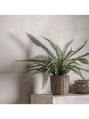 Gallery Home Green Potted Fern Plant - Image 8 of 10