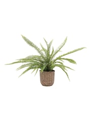Gallery Home Green Potted Fern Plant - Image 9 of 10