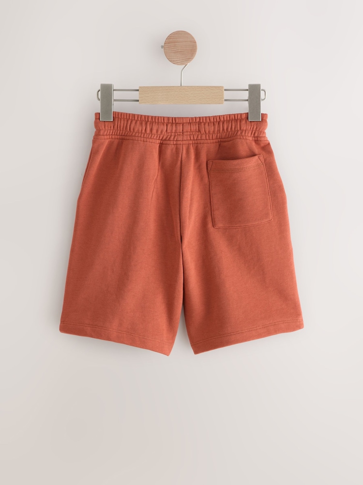 Rust Brown Regular Fit Basic Shorts (3-16yrs) - Image 2 of 4