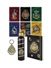 Pyramid International Harry Potter Hogwarts Colourful Crest Premium Set - Image 3 of 3