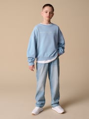 Reebok Oversized Boys Washed Blue Graphic 100% Cotton Sweatshirt - Image 2 of 13