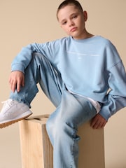 Reebok Oversized Boys Washed Blue Graphic 100% Cotton Sweatshirt - Image 4 of 13