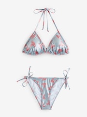 Vivienne Westwood Grey Anglo Orb Triangle Bikini Briefs - Image 1 of 7