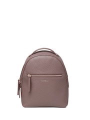 Fiorelli Anouk Plain Winter Brown Backpack - Image 1 of 6