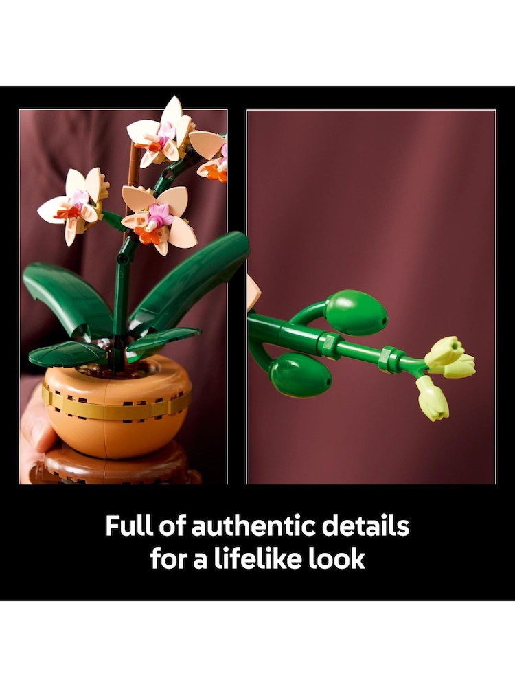 Lego Botanicals Mini Orchid Faux Plant Set 10343 - Image 5 of 9