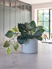 Beards & Daisies Green Artificial Pothos Plant - Image 1 of 3
