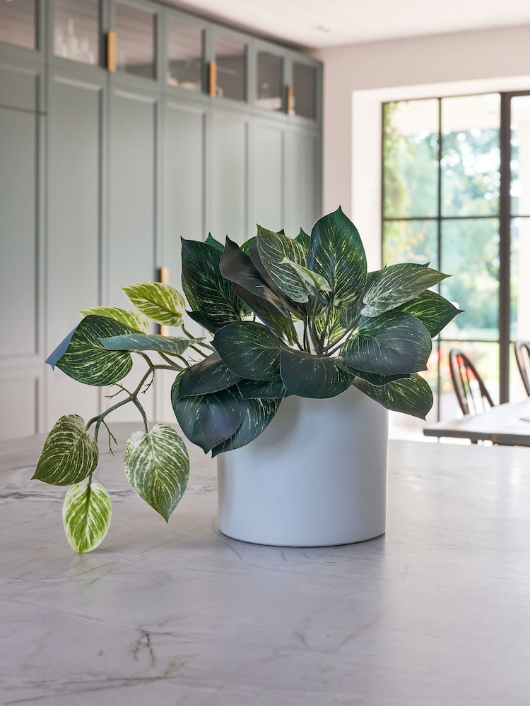 Beards & Daisies Green Artificial Pothos Plant - Image 1 of 3