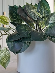 Beards & Daisies Green Artificial Pothos Plant - Image 2 of 3