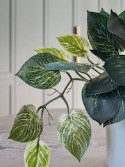 Beards & Daisies Green Artificial Pothos Plant - Image 3 of 3