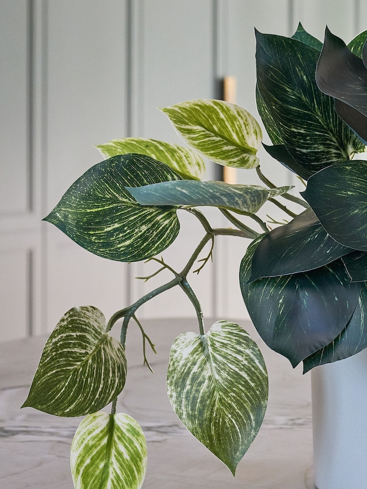 Beards & Daisies Green Artificial Pothos Plant - Image 3 of 3