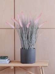 Beards & Daisies Artificial Pennisestum Grass Pink Plant - Image 1 of 3