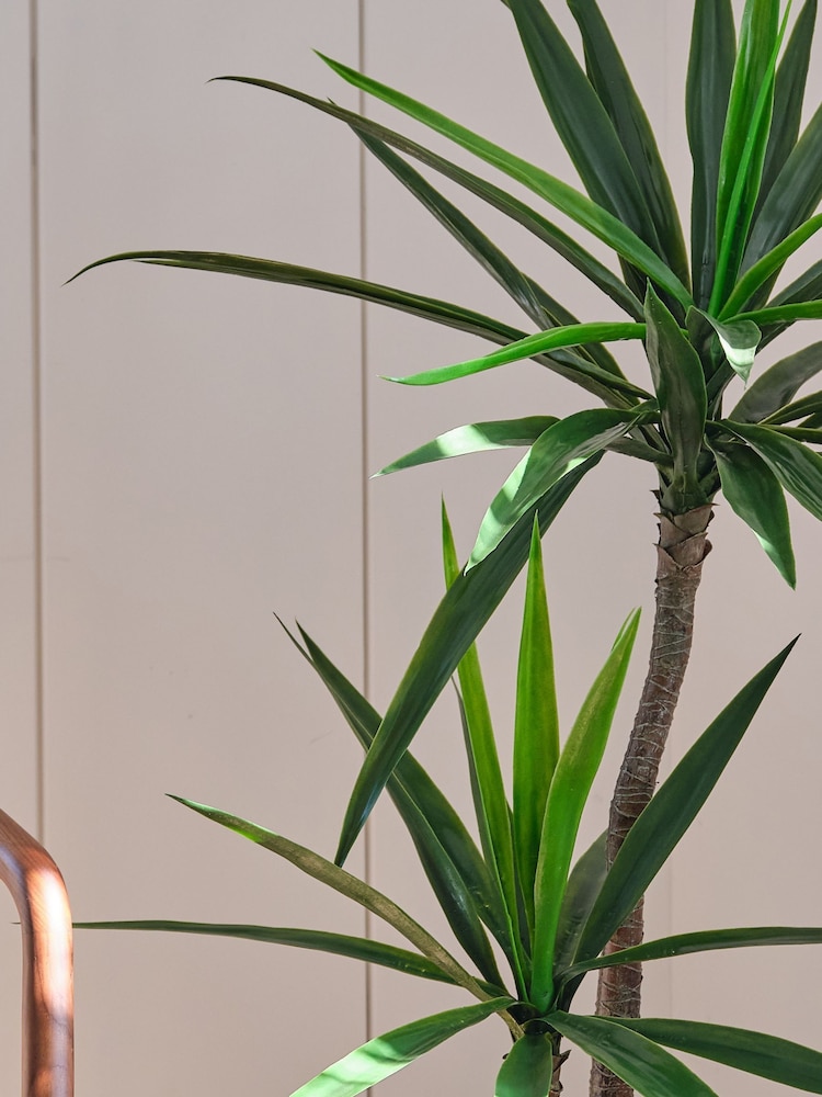 Beards & Daisies Green Artificial Yucca Plant - Image 2 of 4