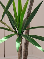 Beards & Daisies Green Artificial Yucca Plant - Image 4 of 4