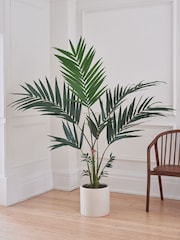 Beards & Daisies Green Artificial Kentia Palm - Image 1 of 4