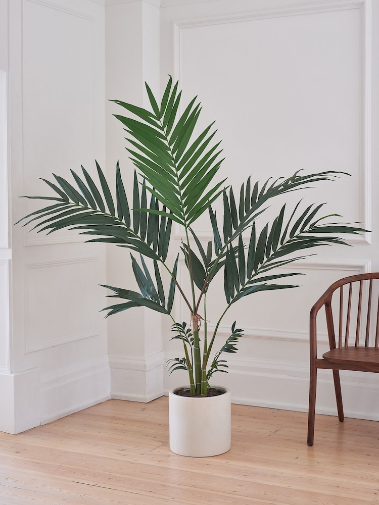 Beards & Daisies Green Artificial Kentia Palm - Image 1 of 4