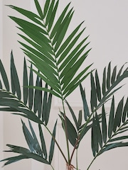 Beards & Daisies Green Artificial Kentia Palm - Image 2 of 4