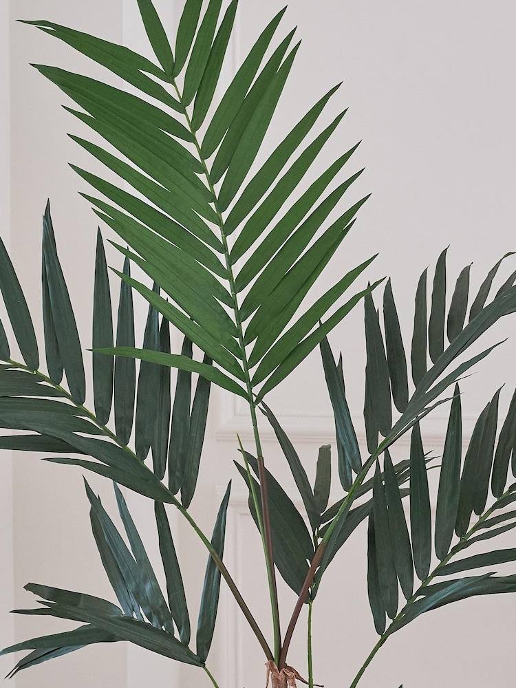 Beards & Daisies Green Artificial Kentia Palm - Image 2 of 4