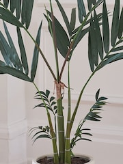 Beards & Daisies Green Artificial Kentia Palm - Image 3 of 4
