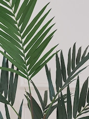 Beards & Daisies Green Artificial Kentia Palm - Image 4 of 4