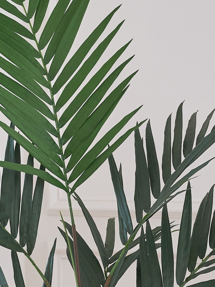 Beards & Daisies Green Artificial Kentia Palm - Image 4 of 4